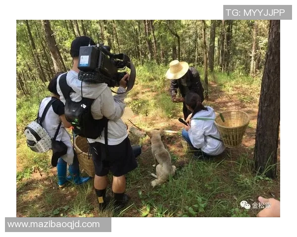 攀枝花激情四溢足球比赛直播现场精彩瞬间回顾与球迷互动盛况