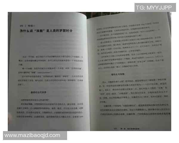 探索弗格的魅力与影响力：从历史到现代的深度解读与思考