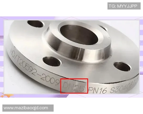 FS法兰与卡尔斯的全面对比分析及市场前景探讨 FS法兰与卡尔斯的全面对比分析及市场前景探讨