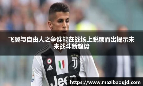 飞翼与自由人之争谁能在战场上脱颖而出揭示未来战斗新趋势